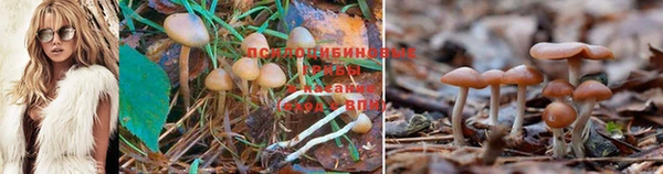 mdma Горно-Алтайск